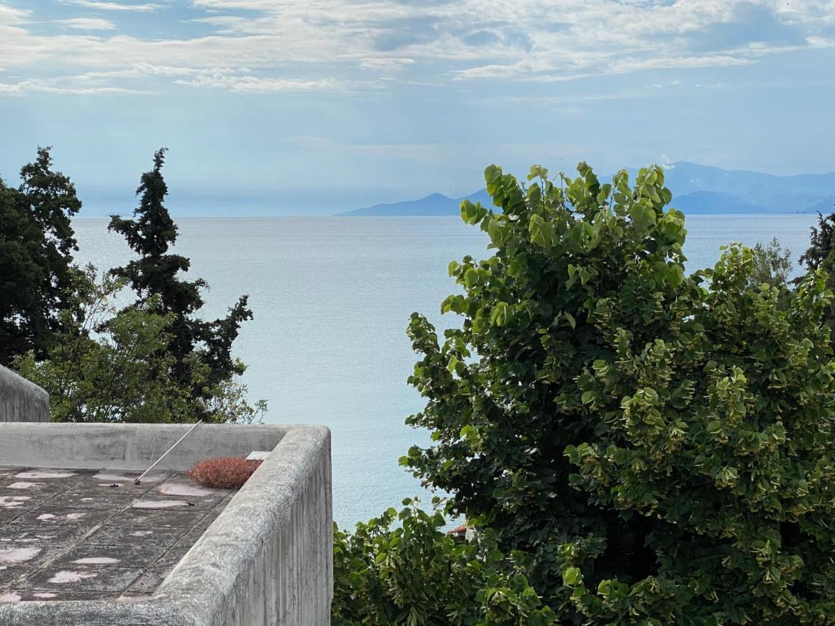 Irini Seaside Apartment PalaiónTsiflíkion エクステリア 写真