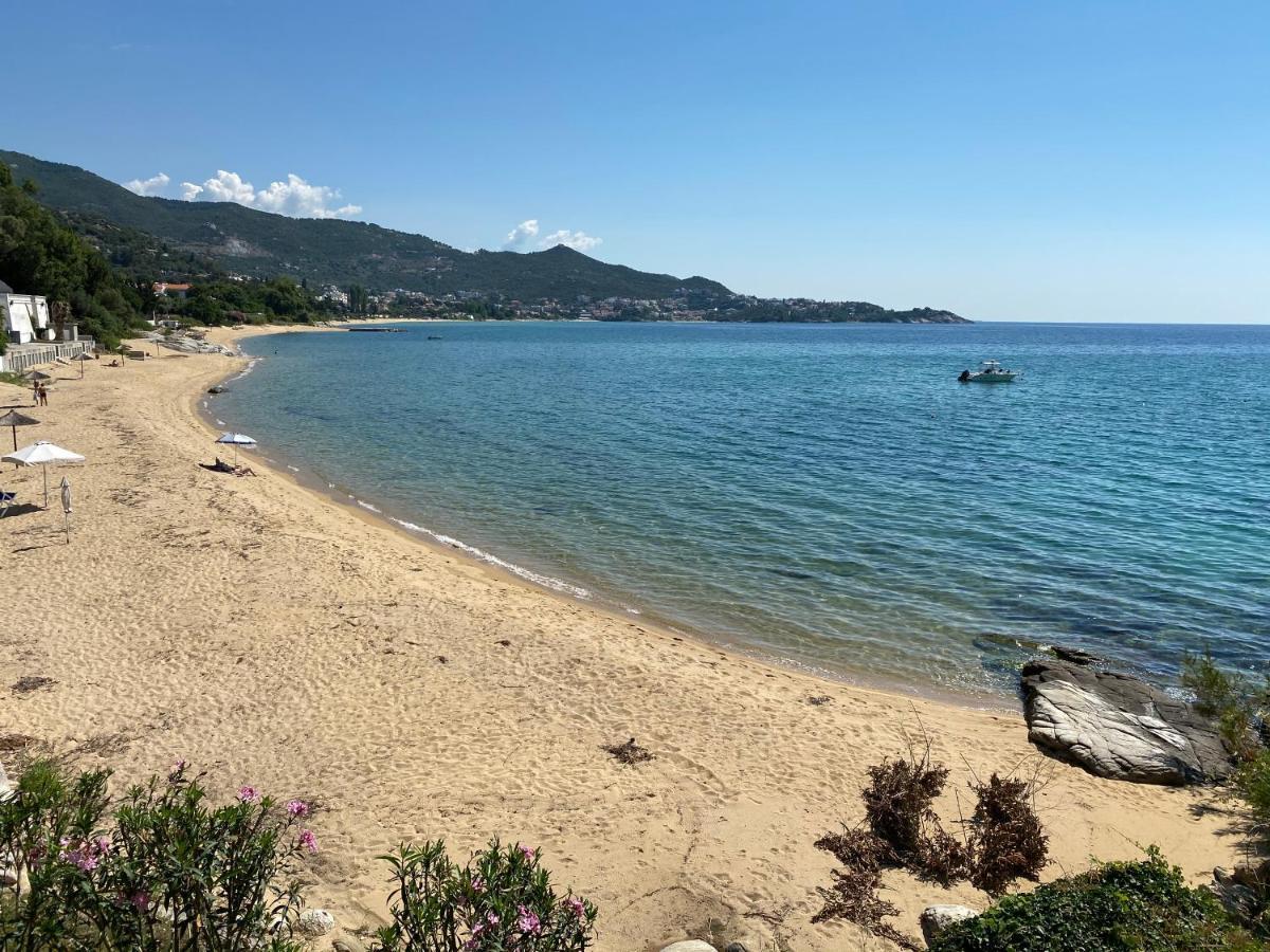 Irini Seaside Apartment PalaiónTsiflíkion エクステリア 写真