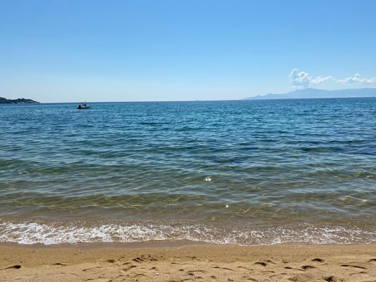 Irini Seaside Apartment PalaiónTsiflíkion エクステリア 写真
