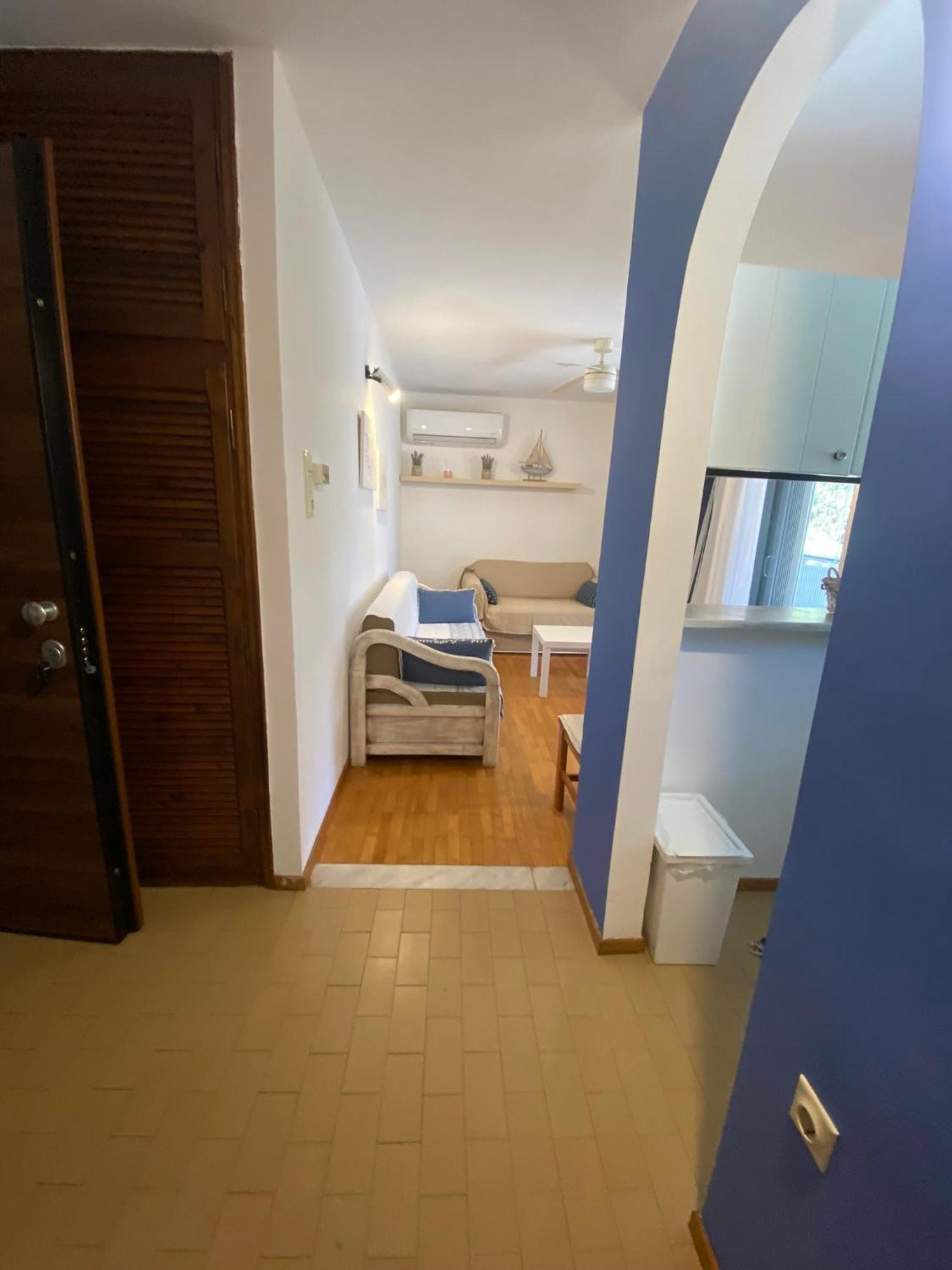 Irini Seaside Apartment PalaiónTsiflíkion エクステリア 写真