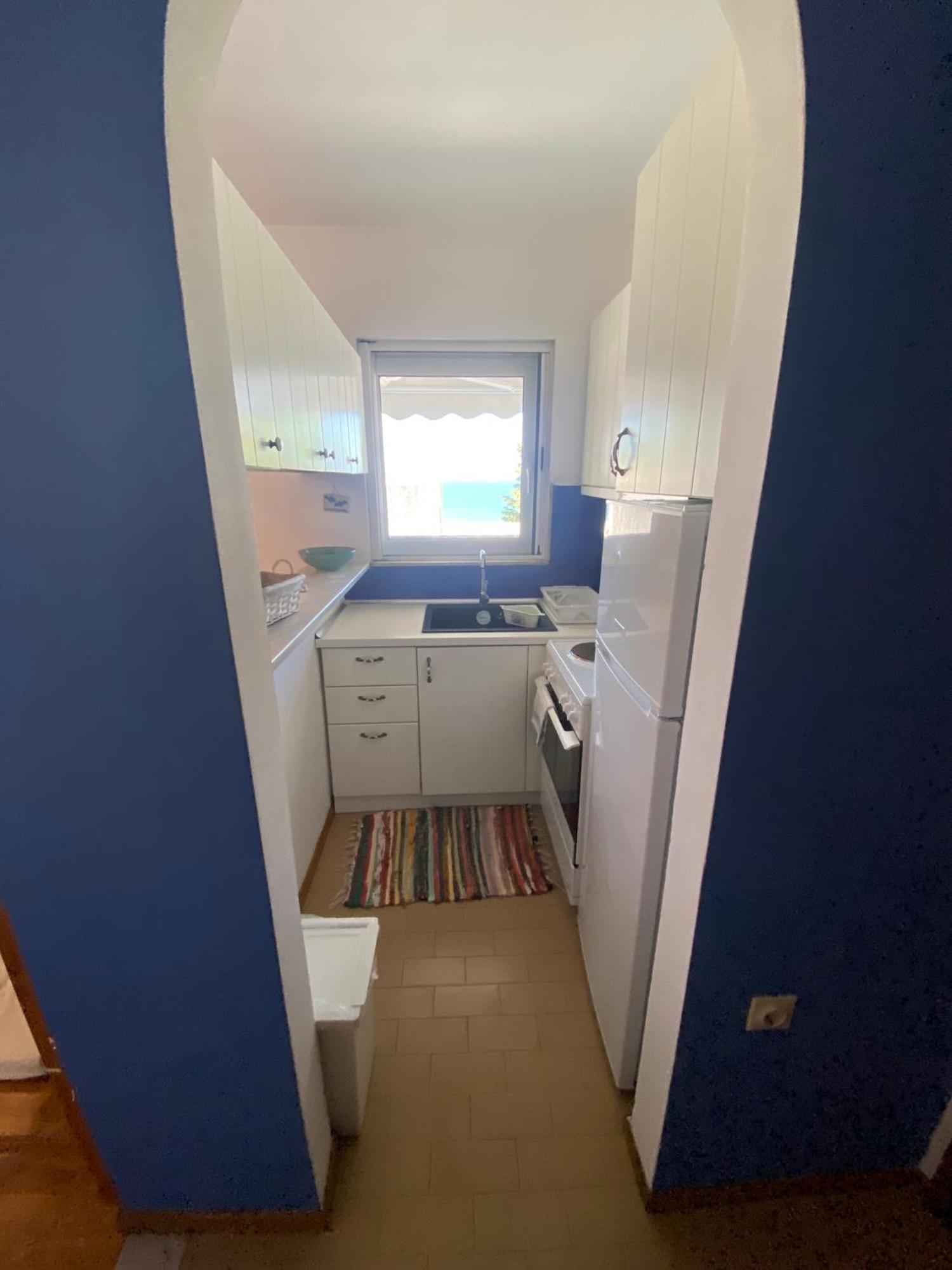 Irini Seaside Apartment PalaiónTsiflíkion エクステリア 写真