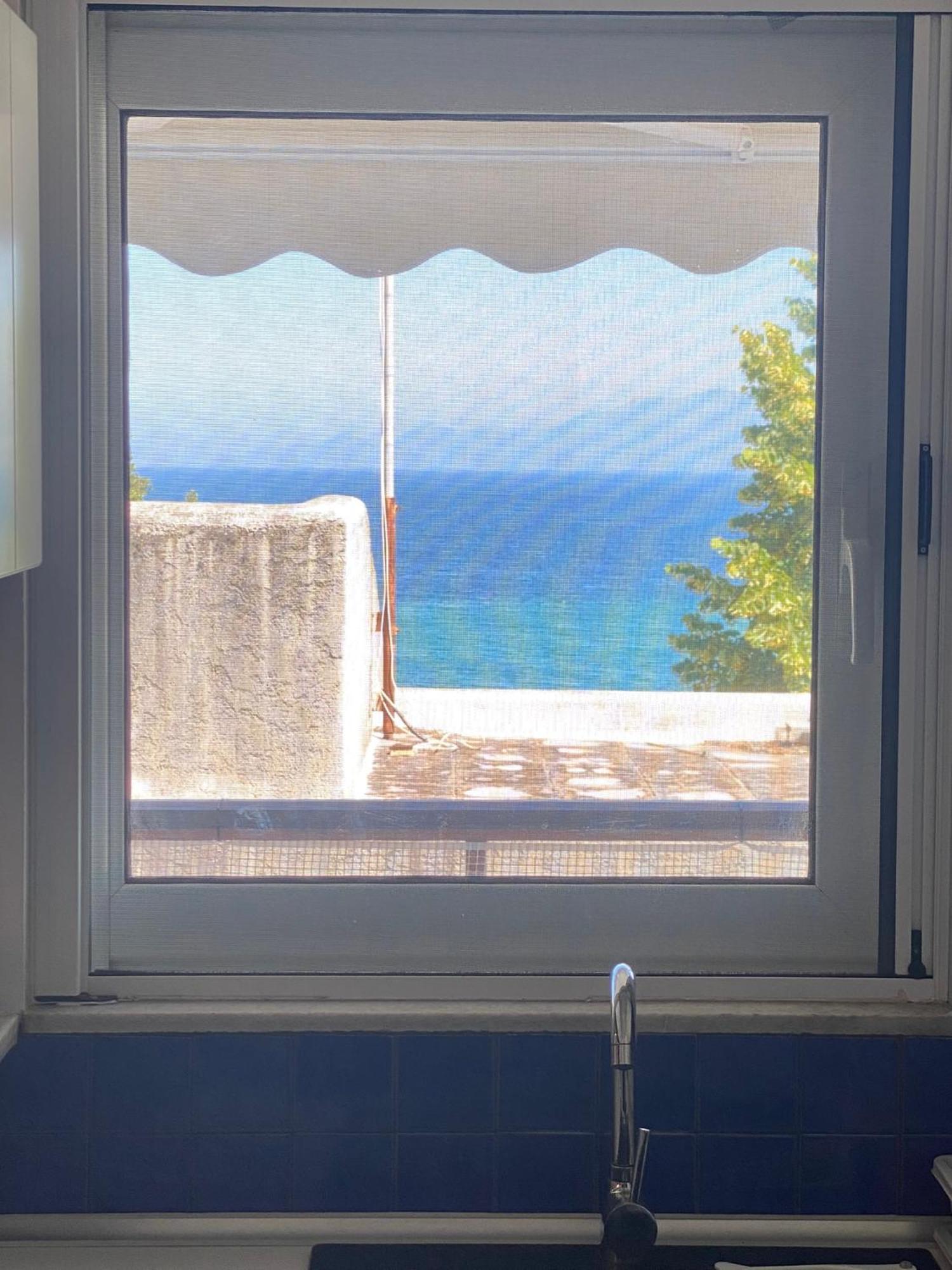 Irini Seaside Apartment PalaiónTsiflíkion エクステリア 写真